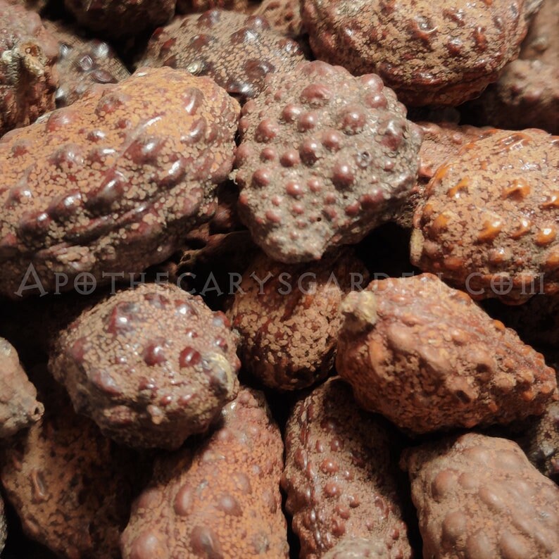 Zanzibar Copal-Hymenaea verrucosa-Madagascar-For incense-Craft and Art-Sustainable harvest