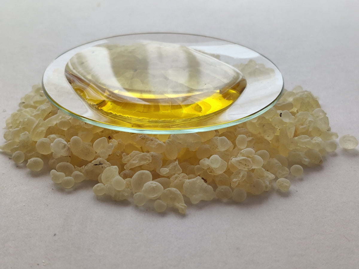 Mastic Resinoid-Mastic Chios Resin Absolute. For perfume,incense and cosmetics. Pourable and sweet-scented