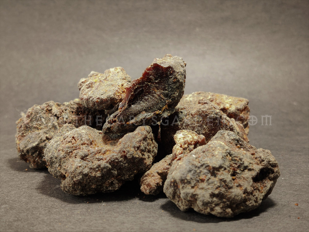 Commiphora Kataf-Scented Myrrh-Sweet Myrrh-Bisabol Myrrh-Uniquely aromatic-Somalia-Sustainable Harvest.