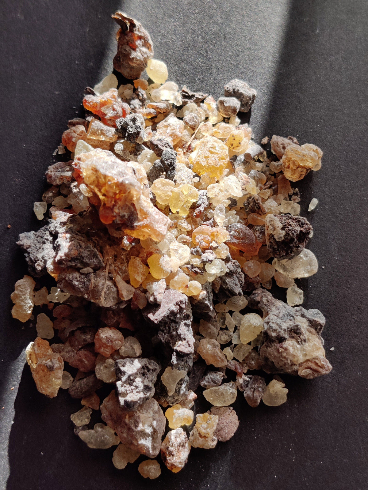 Frankincense Socotrana-Extremely RARE!- Limited supply-Socotra/Yemen. A rare Frankincense for incense and perfume. Boswellia socrotrana.