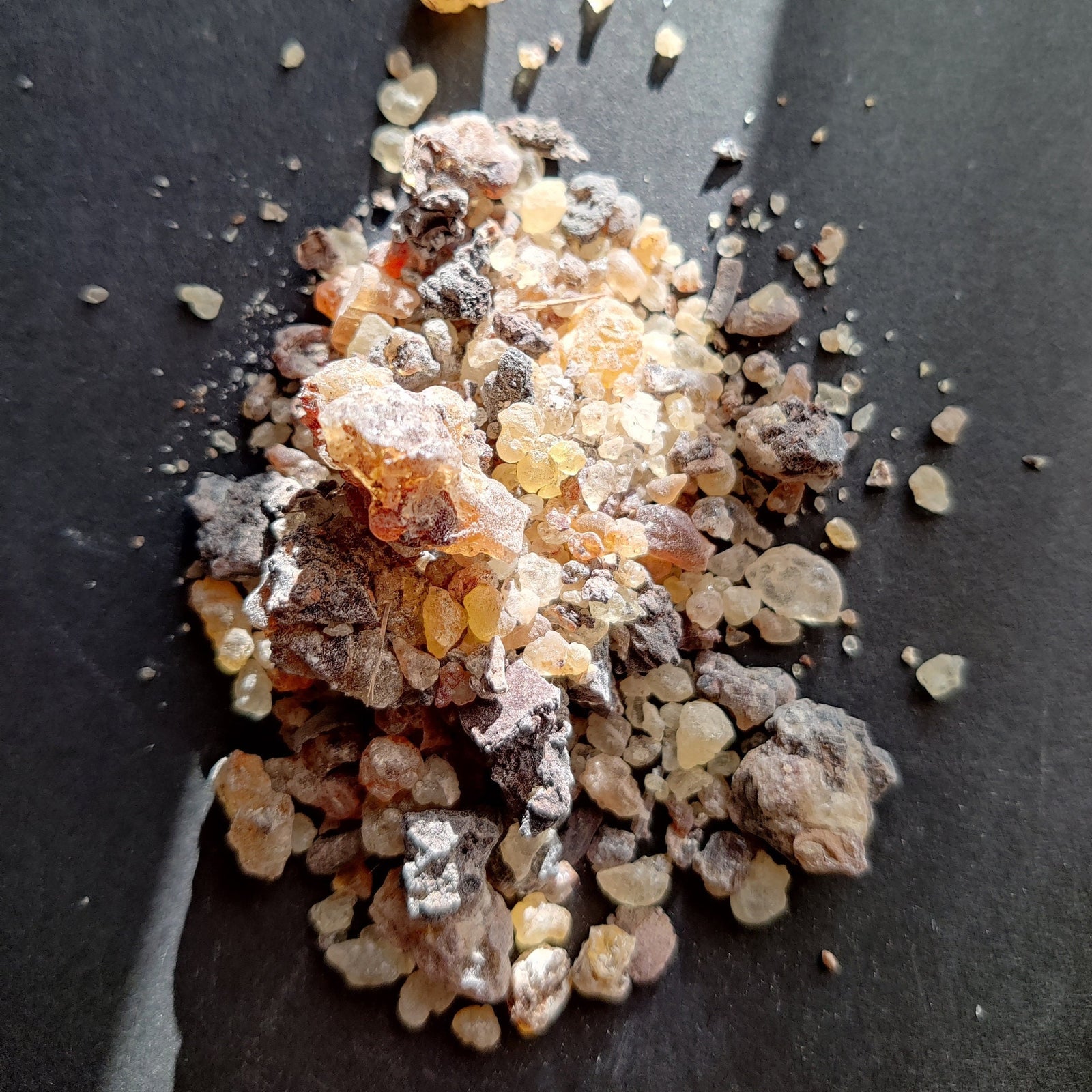 Frankincense Socotrana-Extremely RARE!- Limited supply-Socotra/Yemen. A rare Frankincense for incense and perfume. Boswellia socrotrana.