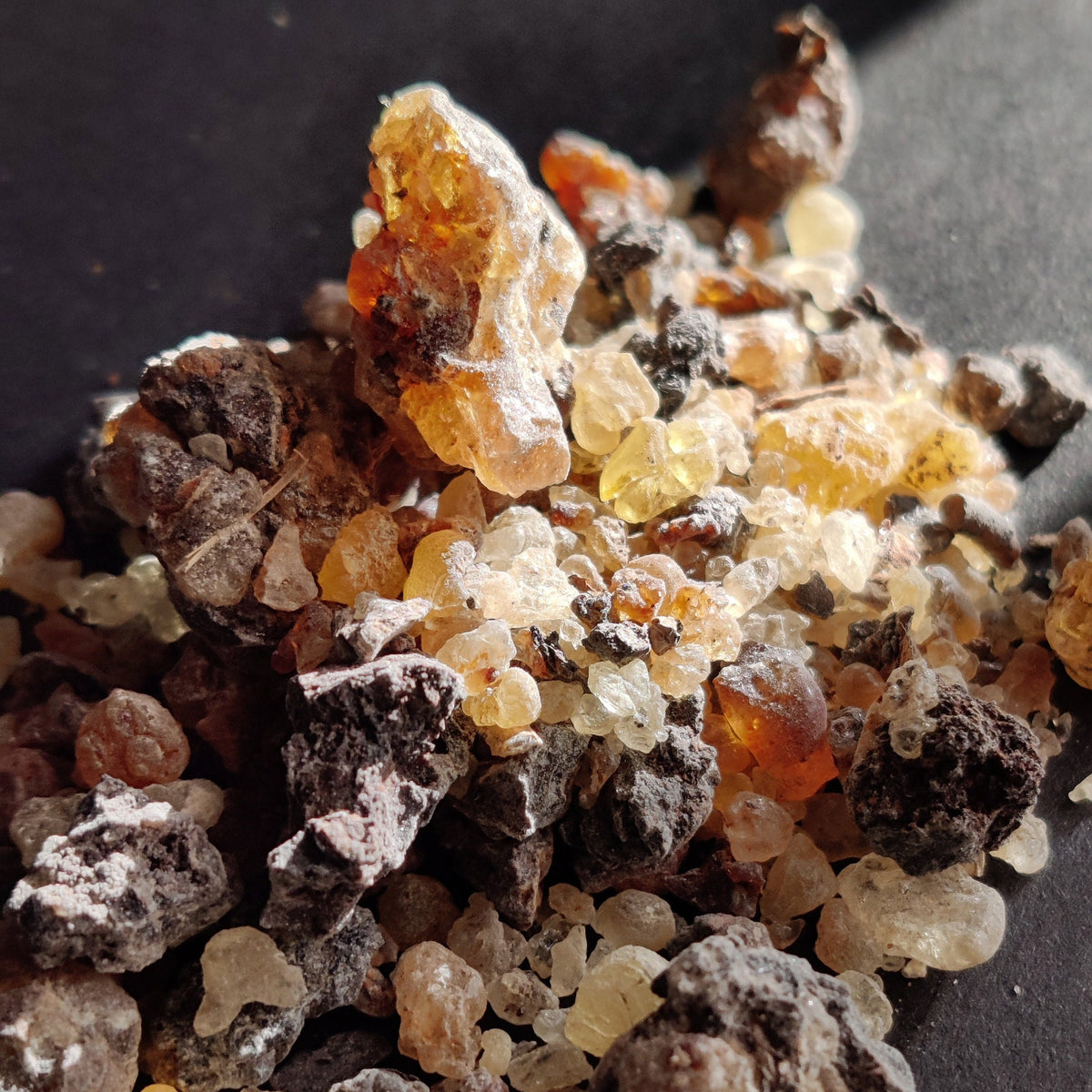 Frankincense Socotrana-Extremely RARE!- Limited supply-Socotra/Yemen. A rare Frankincense for incense and perfume. Boswellia socrotrana.