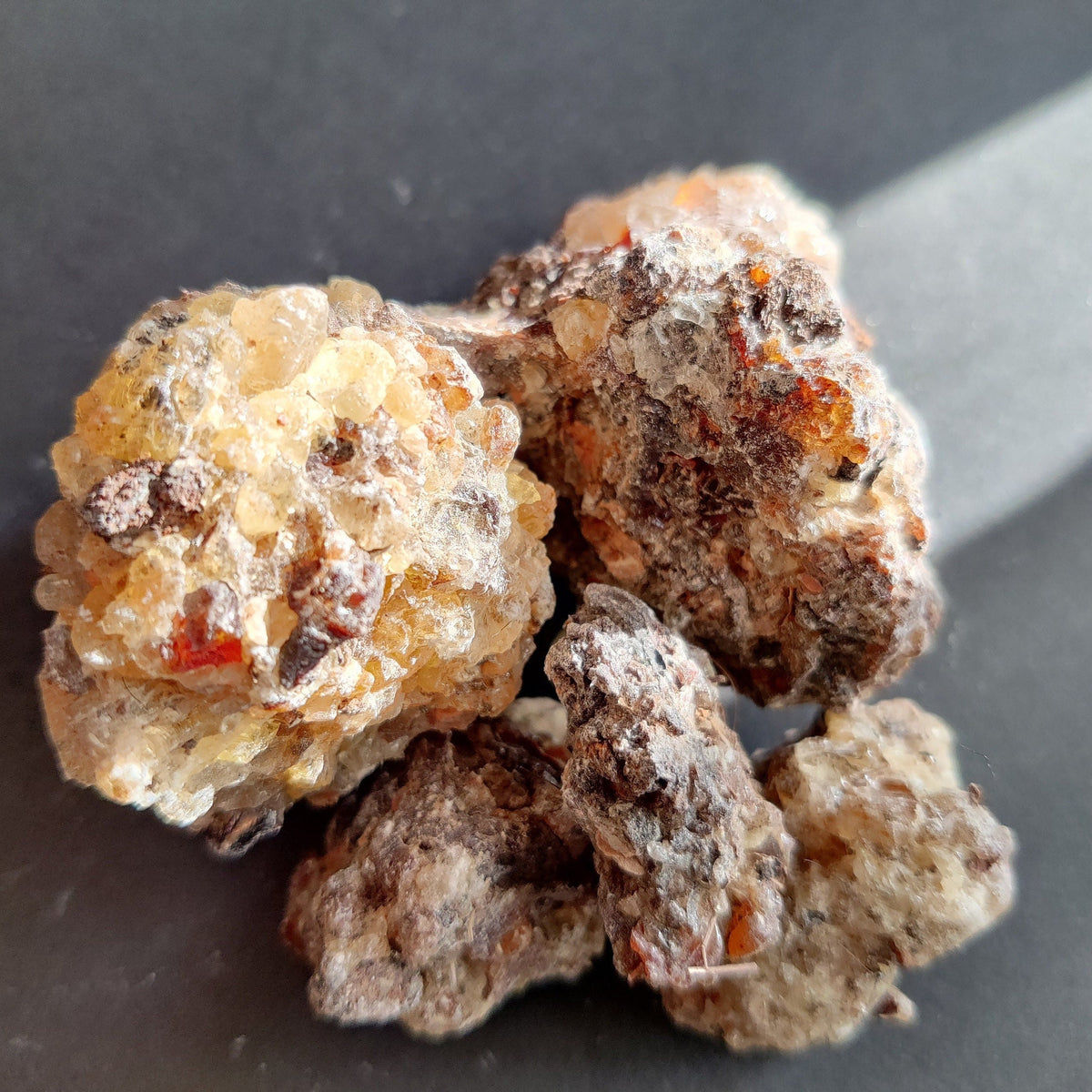 Frankincense Socotrana-Extremely RARE!- Limited supply-Socotra/Yemen. A rare Frankincense for incense and perfume. Boswellia socrotrana.