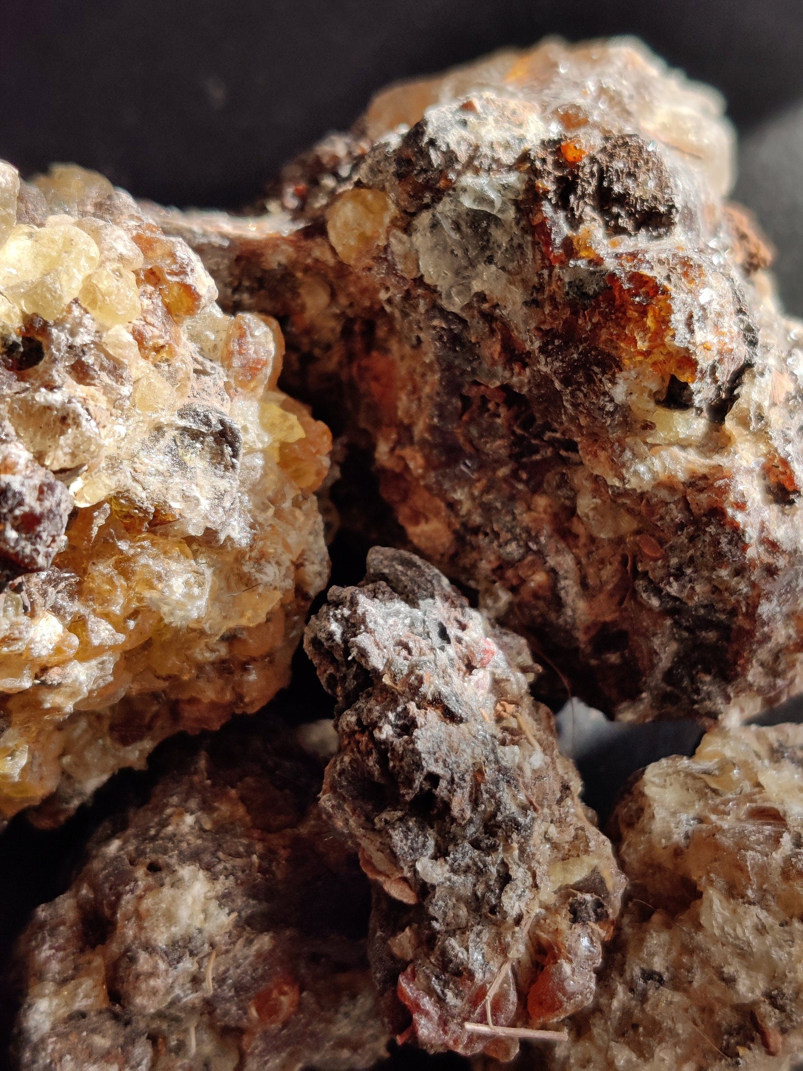 Frankincense Socotrana-Extremely RARE!- Limited supply-Socotra/Yemen. A rare Frankincense for incense and perfume. Boswellia socrotrana.